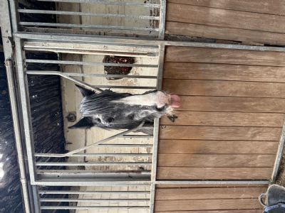 Customer Success Gallery - 